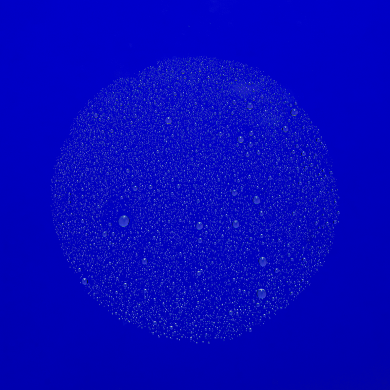 The Face Mist The Face Mist