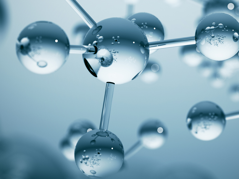 The Rich Renewal Trio 