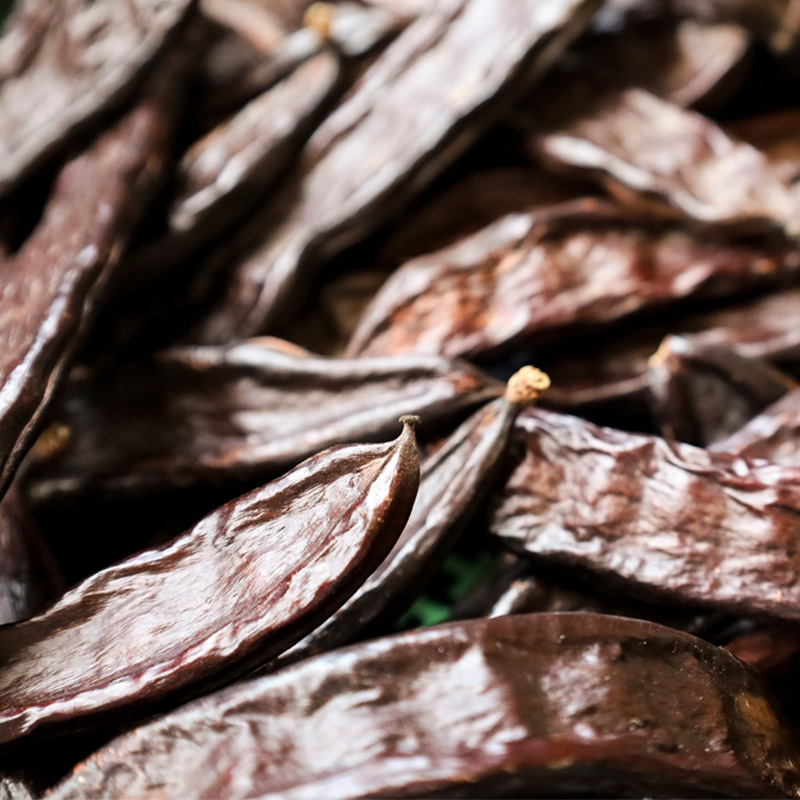 Carob Repair Extract
