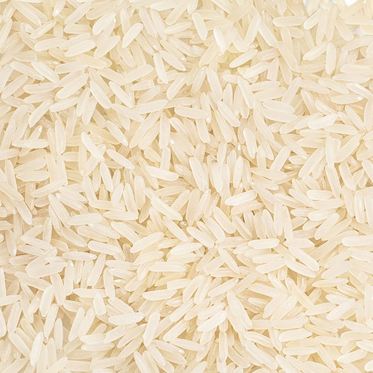 Hydrolyzed Rice Protein