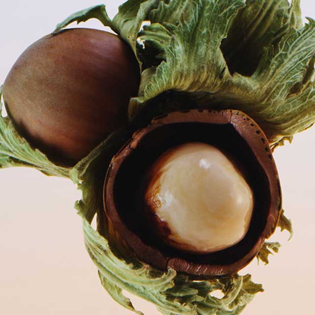 The Face Oil Ingredients