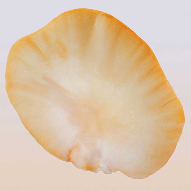 The Face Oil Ingredients